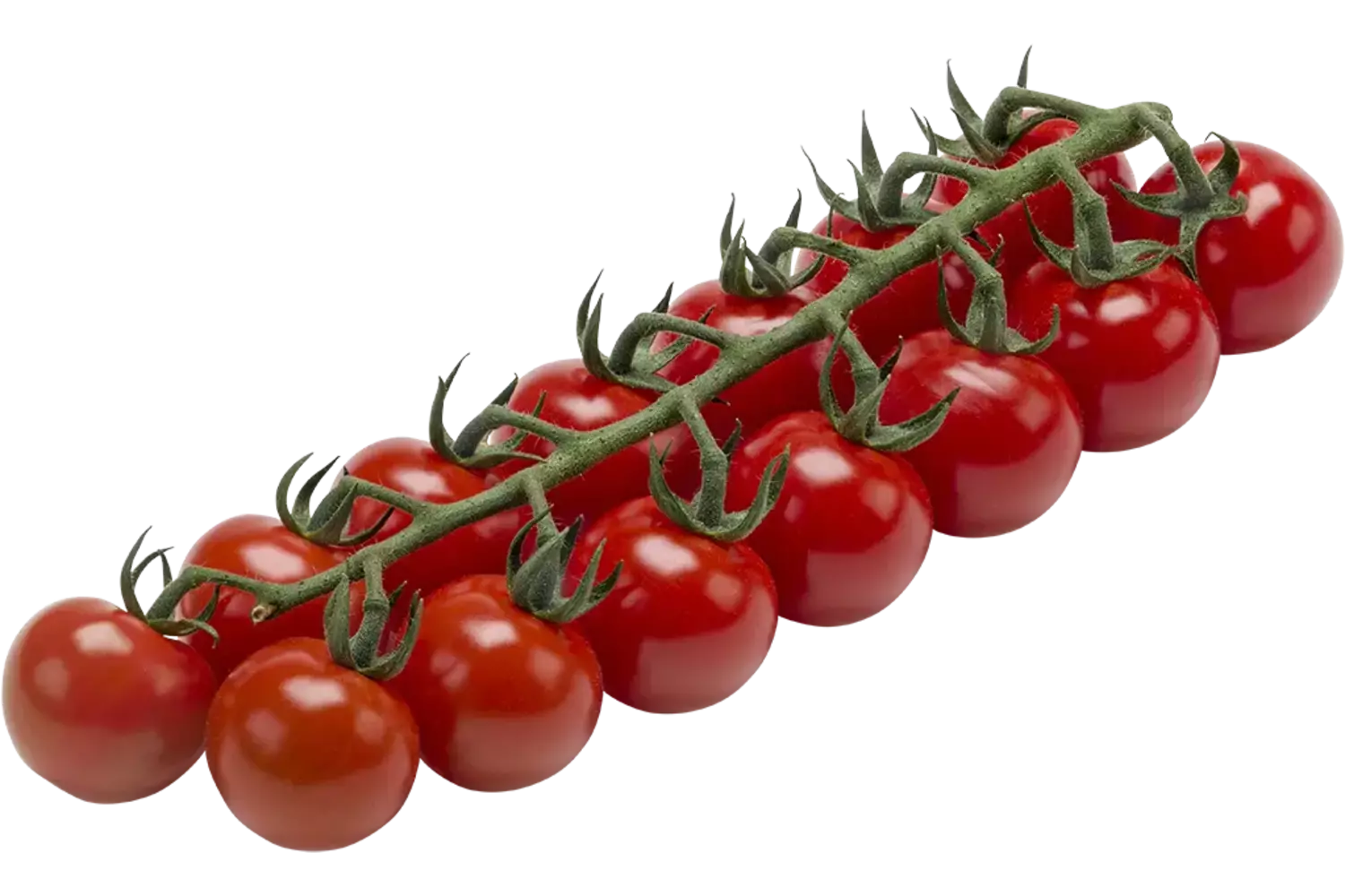 mini cherry tomaat 0.5kg