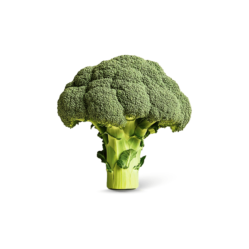 broccoli 1 stuk