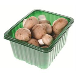 champignons bruin 250 gr bakje