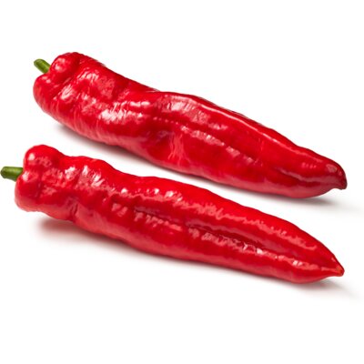 punt paprika rood 1kg
