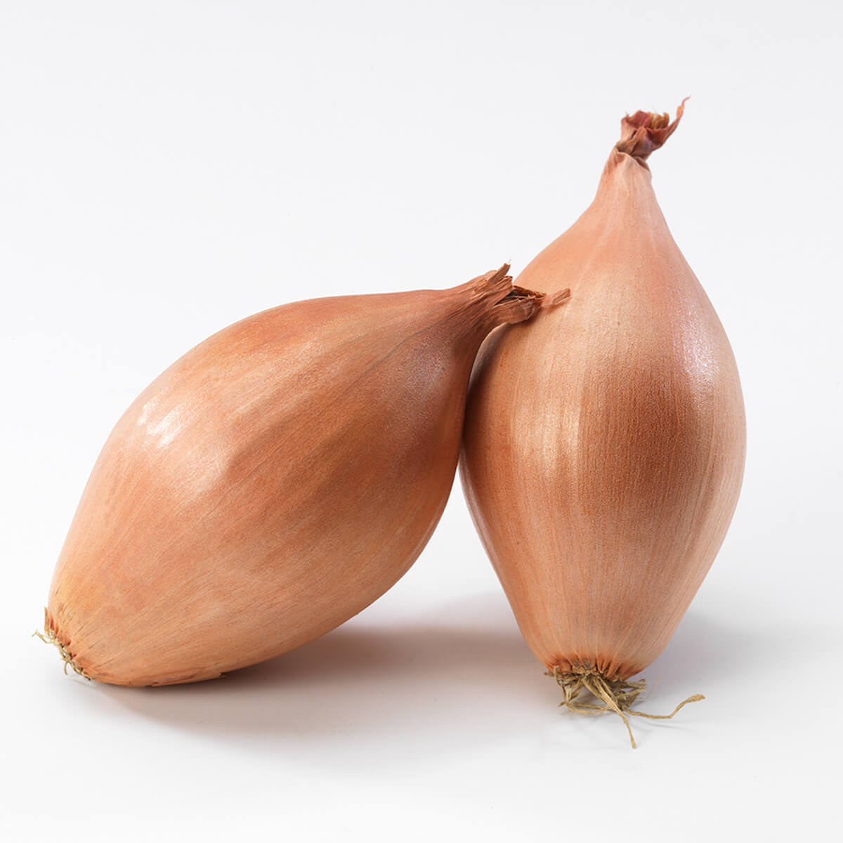 shallot uien 0.5kg