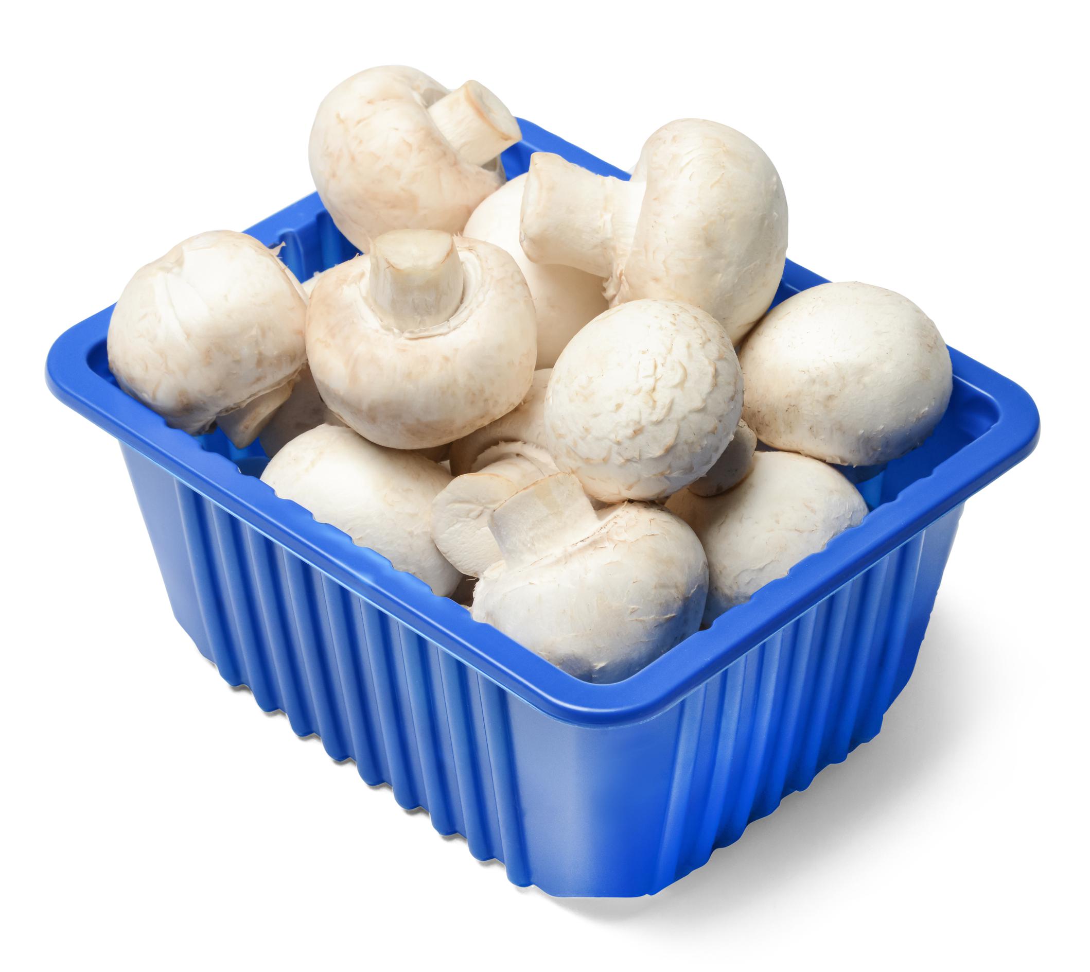 wit champiogn bakje 250gr