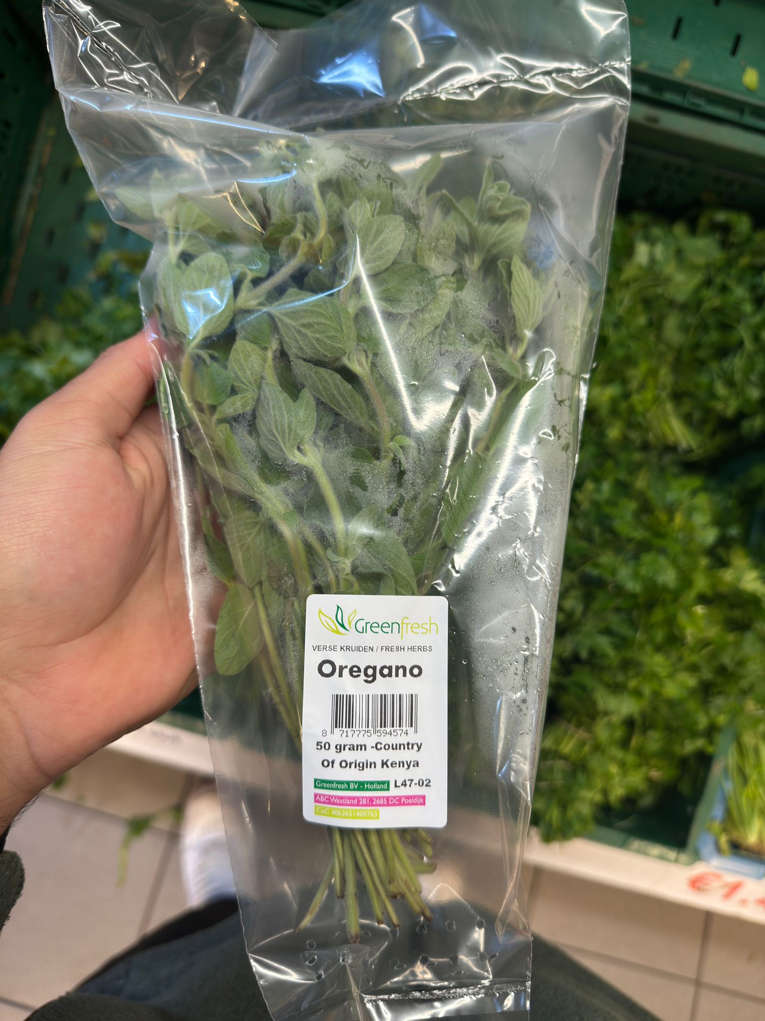 oregano 1 zakje
