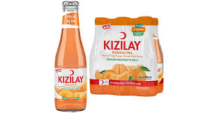 kizilay orange 6 stuks