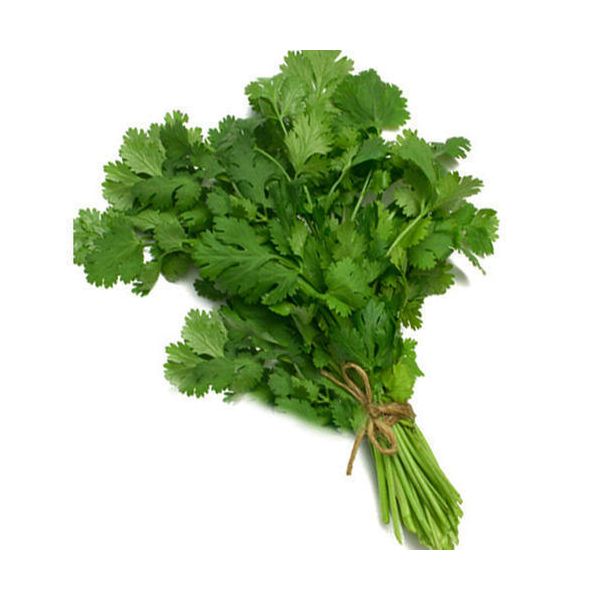 coriander 3 stuks