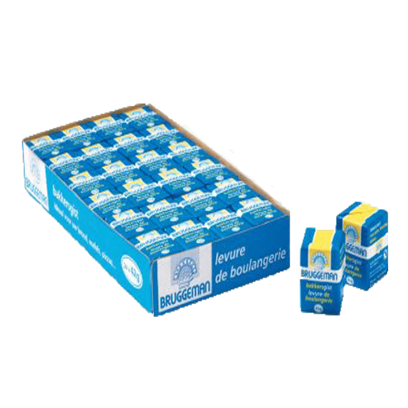 bruggeman gist (vers gekoeld) 42g