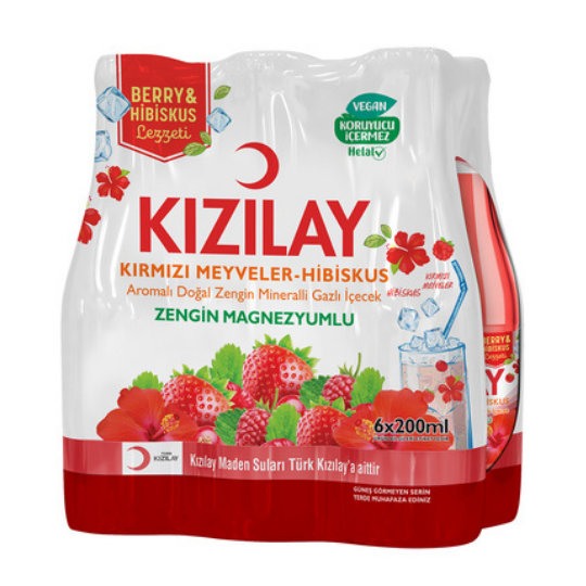kizilay aardbei 6 stuks