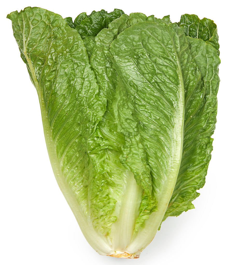 romaine sla